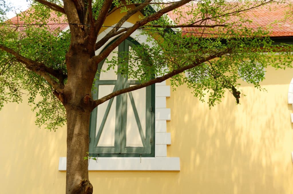 Pale yellow wall with arched window and the branches of tree.